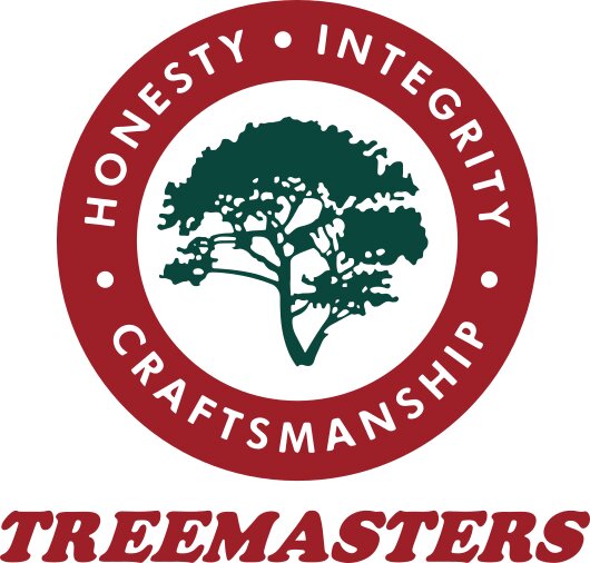 Treemasters supports the long-term care of trees across Marin County through professional arboriculture, site-specific management, and ongoing tree preservation.