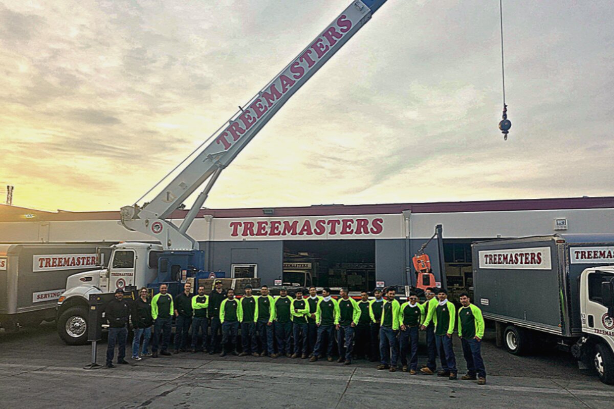 Treemasters is a professional tree and garden care company based in San Rafael, California, serving Mill Valley, Tiburon, and the broader Marin County region.