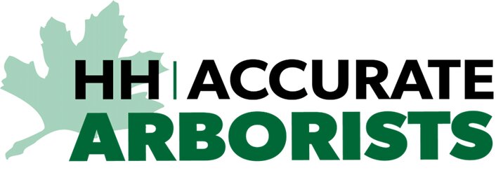 HH Accurate Arborists Expands Arborist Services in Madison, WI as Oak Wilt Season Peaks