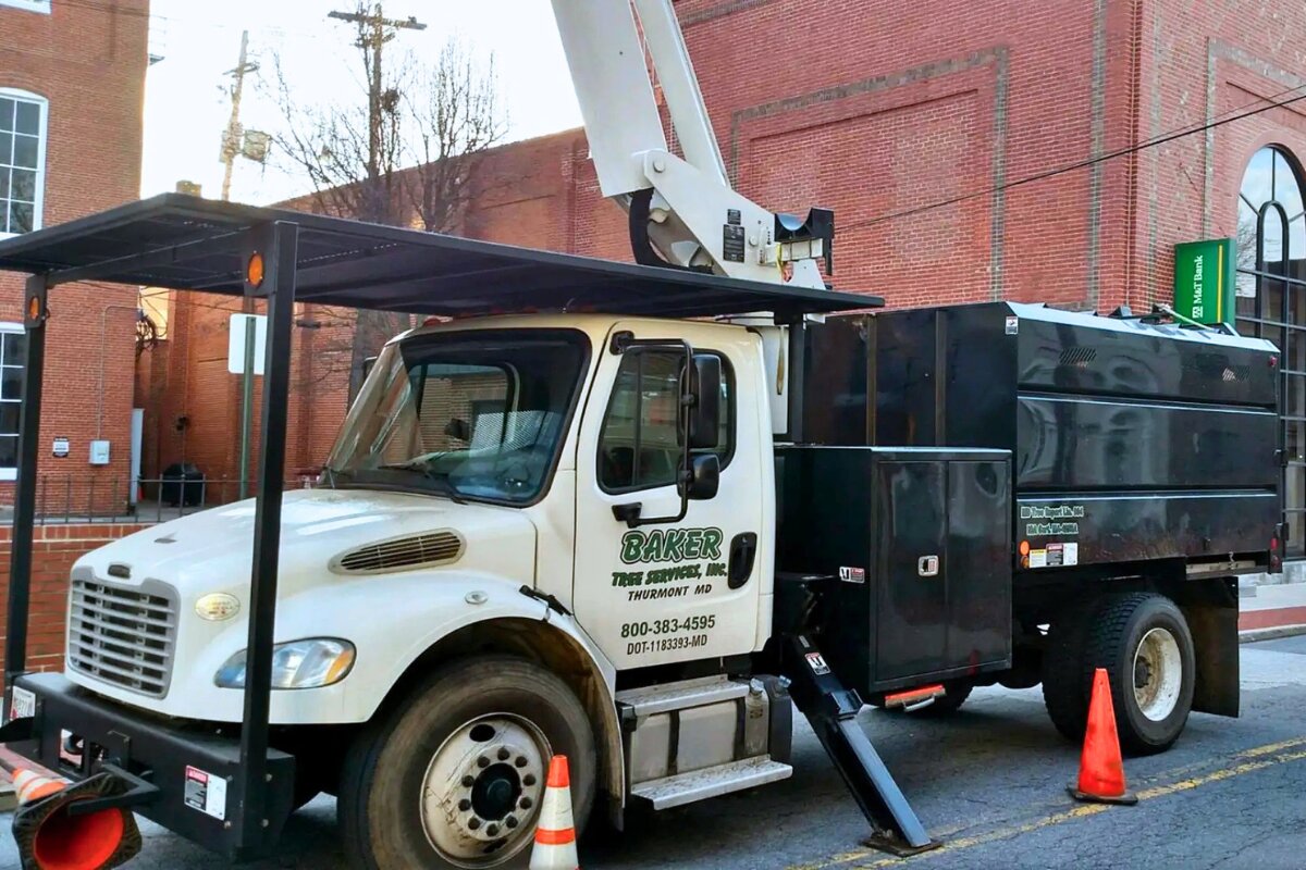 Baker Tree Services Expands Tree Service in Frederick, MD as Lanternfly Egg-Laying Season Opens
