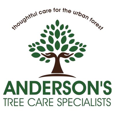 Anderson's Tree Care Specialists is a fully licensed, bonded, and insured family-run tree service in Saratoga, CA, and the Los Gatos area, based in San Jose, California, and serving the broader South Bay region.