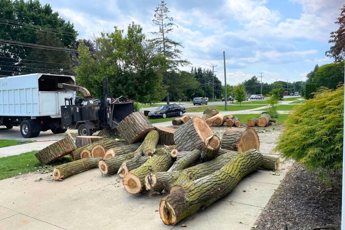 Treemendous Tree Care LLC Expands Tree Removal Services in Clinton Township, MI Ahead of Michigan Ice Season