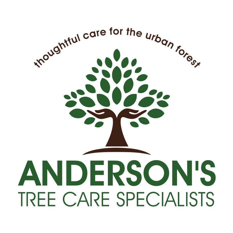 Anderson’s Tree Care Specialists is a local, family-run tree care company founded in San Jose in 1995.