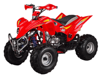 110cc Small Youth ATV for Beginners