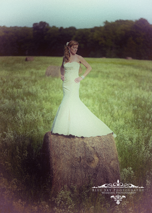 CT Photographer