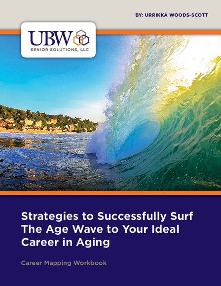 Book Cover for Strategies to Successfully Surf The Age Wave To Your Ideal Career in Aging
