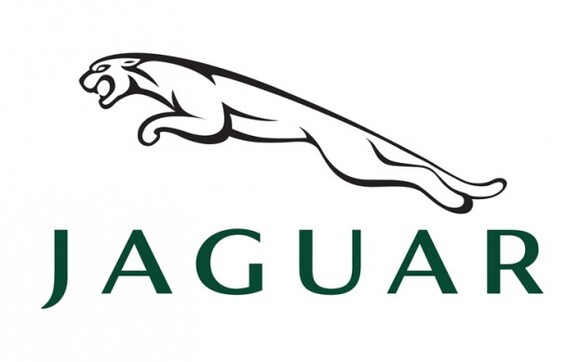 Maine Jaguar