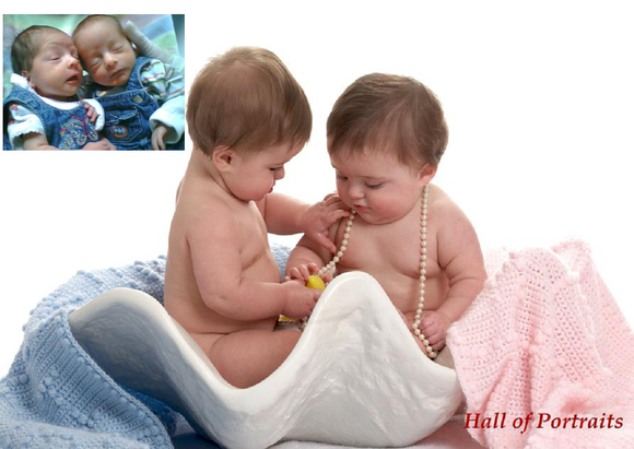 Preemie Growth Project Twins