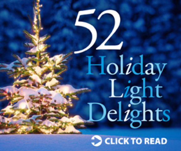 Holiday Light Delights E-Zine Cover