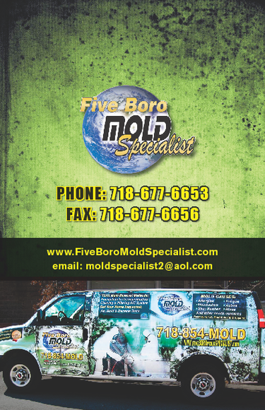 Five Boro Mold Specialist - Manhattan Mold Removal NYC