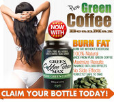 Green Coffee Bean Max