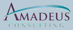custom software development