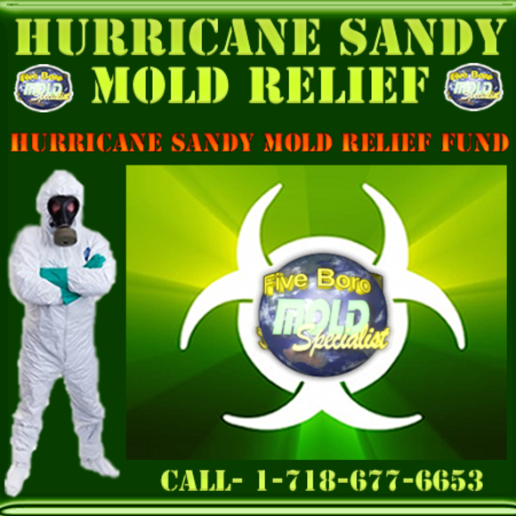 NYC mold removal for Hurricane Sandy Relief