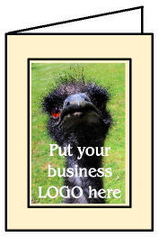 Promote Your Business TODAY!