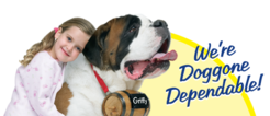 Griffith Energy Services