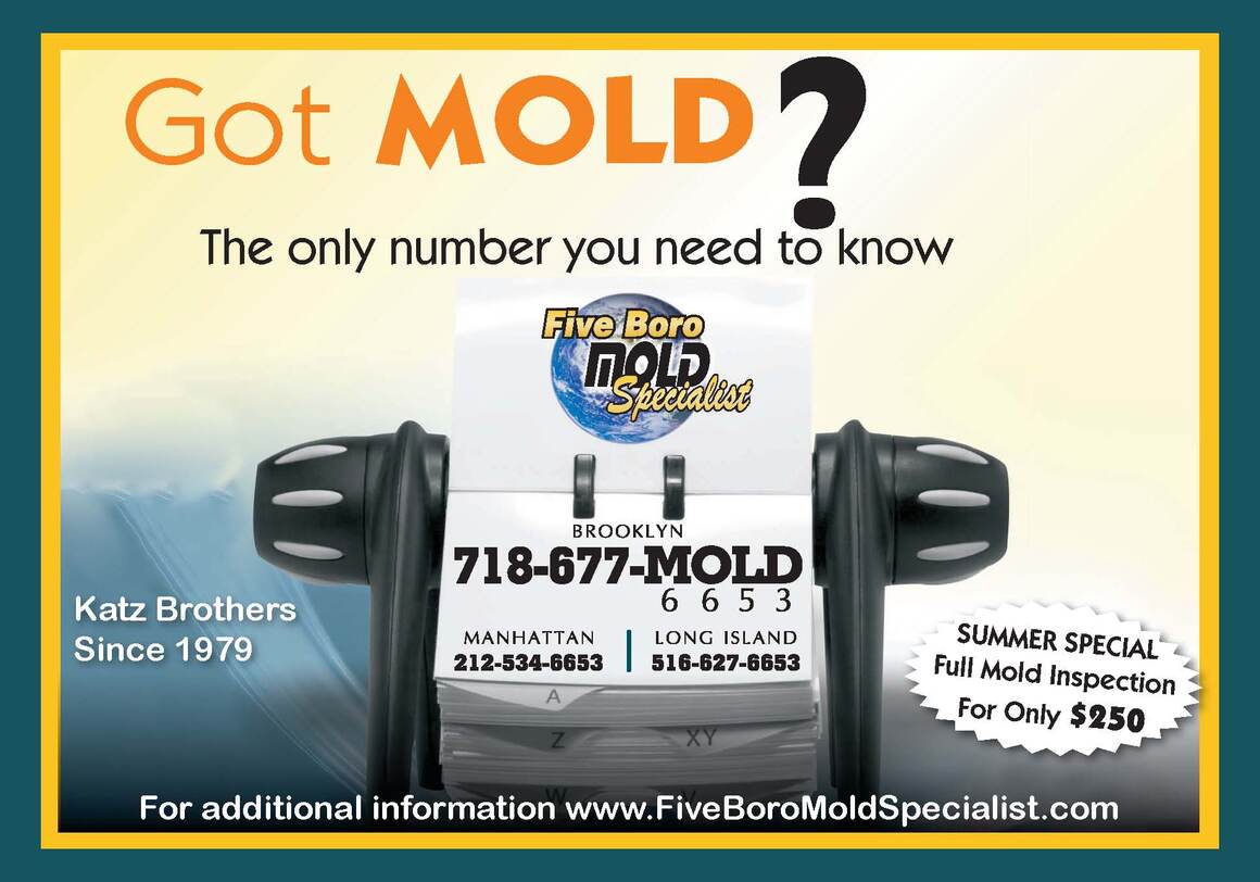 Manhattan mold removal company