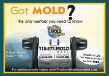 Manhattan mold removal company