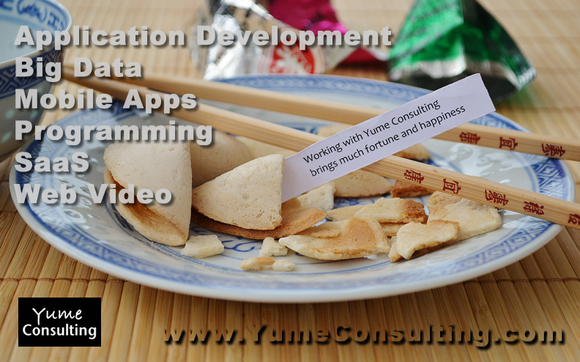 Venture Funded Application Development Service Launch by Yume Consulting, LLC