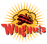 Wingnuts: Reviving the Good Old Fashioned American Sports Bars