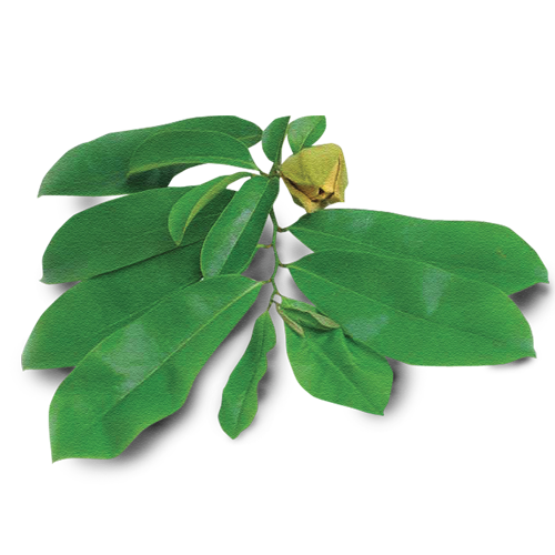 Forget the hype, do what's right,