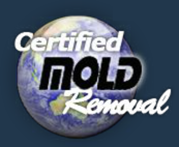 New York City Mold Removal Company