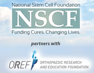 Stem cell and orthopaedic foundations partner on stem cell research