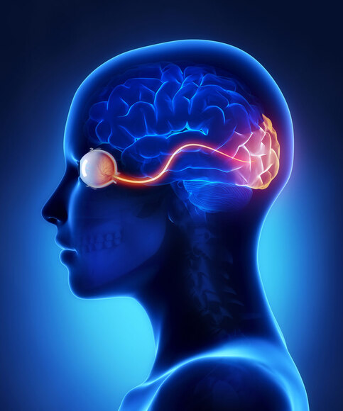 Traumatic Optic Nerve Damage: Academic Physician Life Care Planning Perspective