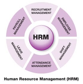 Timothy Singhel HR BUZZ: Top Human Resource Management Software