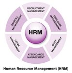 Timothy Singhel HR Management Expert