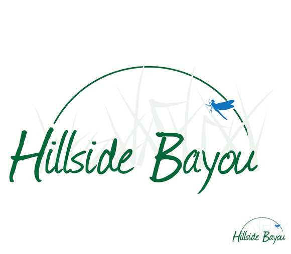 Hillside Bayou Offers Tax Refund Specials on Jacksonville AR Mobile Homes