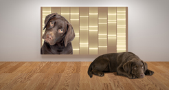 Pet Portraits as DNA Artwork on Canvas