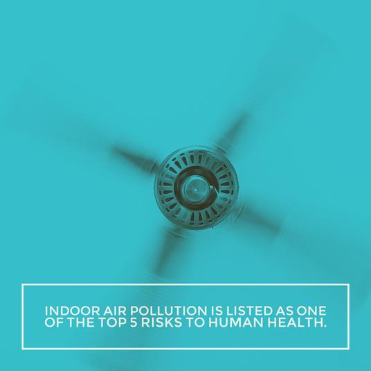 5 Things You Probably Didn’t Know About Indoor Air Quality