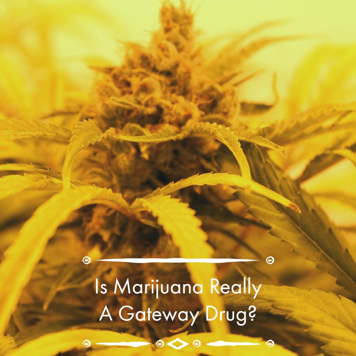 New Jersey Drug Rehab Center Marijuana & Drug Abuse 