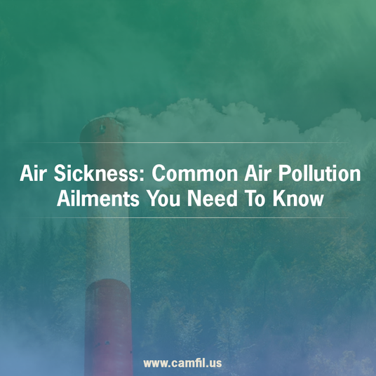 Air Sickness: Common Air Pollution Ailments You Need To Know