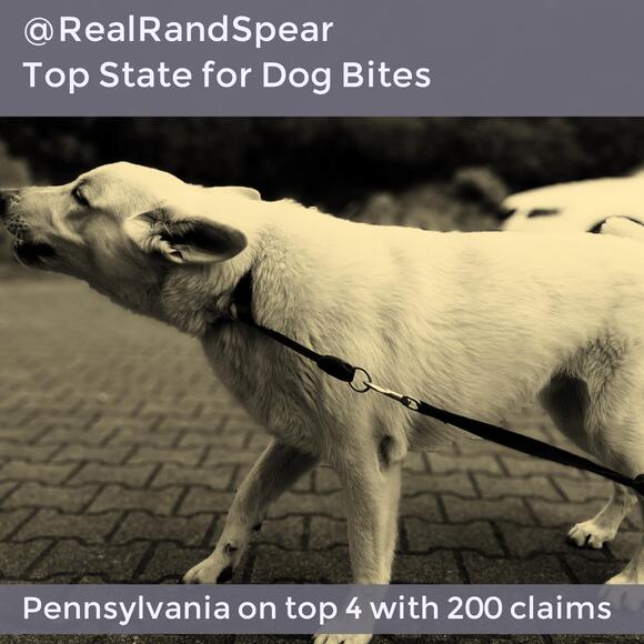 Philadelphia Dog Bite Injury Lawyer Discusses PA as a Top State for Dog Bites