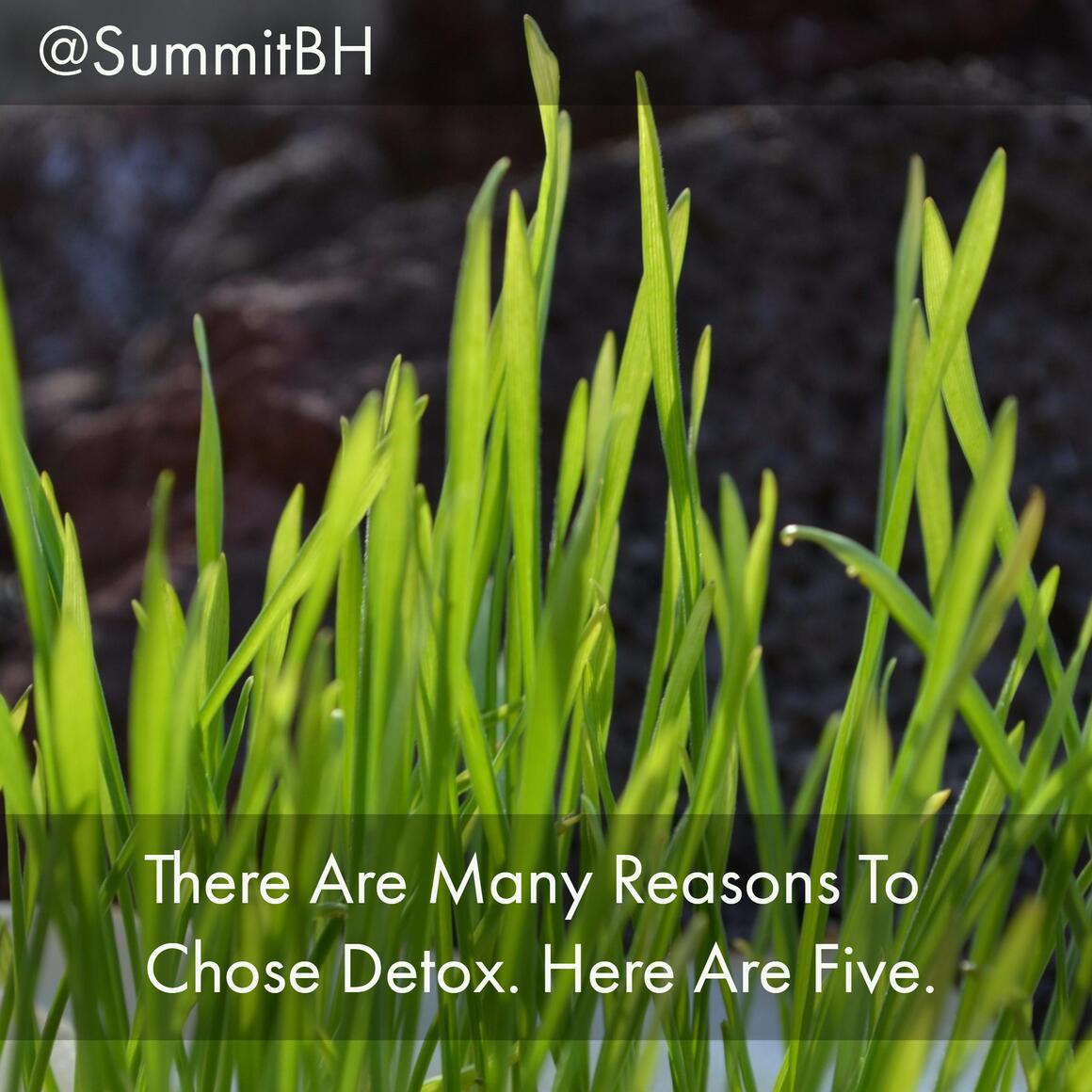 Summit Detox Treatment Center Offers 5 Reasons to Choose Drug Detox