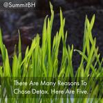 Summit Detox Treatment Center Offers 5 Reasons to Choose Drug Detox