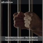 Netflix Making a Murderer - Why You Need an Experienced Federal Criminal Appeal Attorney
