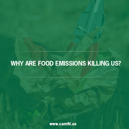 What Are Fast Food Emissions And Why Are They Killing Us?