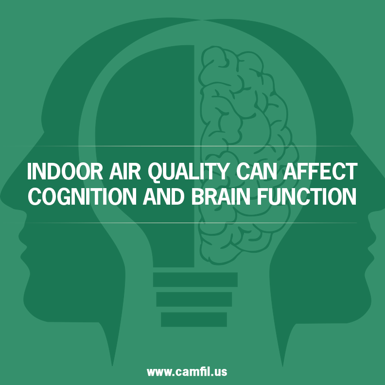 What’s the Link Between Indoor Air Quality and How Smart You Are
