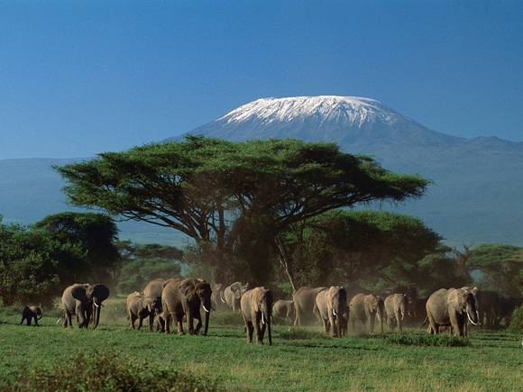 Kilimanjaro climbing and safari in Tanzania  with Altezza Travel