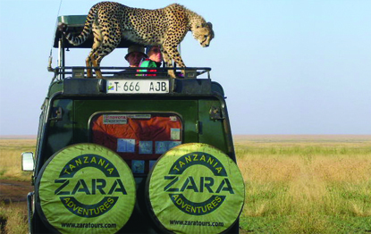 Zara Tours Coastal Scuba and African Beaches Tour