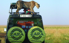 Zara Tours Coastal Scuba and African Beaches Tour