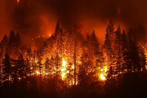 Camfil Health Alert: Damaging California Wildfires Are Affecting Your Air