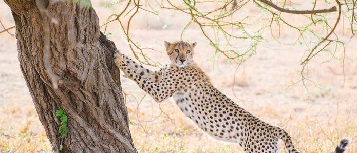Why Winter is the BEST Time for a Trip to East Africa