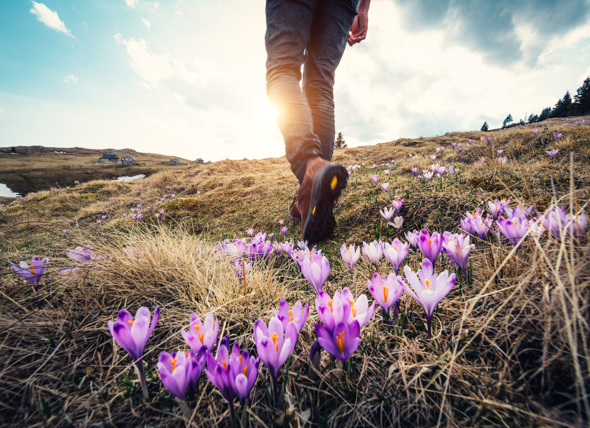 Life of Purpose Rehab Treatment Centers educate the public on obstacles during the recovery journey.