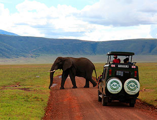 Preparing for Your Spring East African Safari