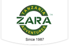 Preparing for Your Summer East African Safari