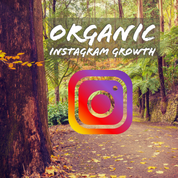 Insta VIP explains why you should be using Instagram to organically grow your business.