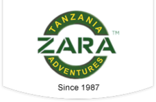 Help Mt. Kilimanjaro Thrive with Environmental Voluntourism